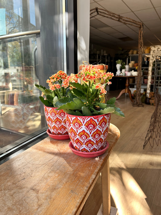 Red/Orange Planter (Clearance)