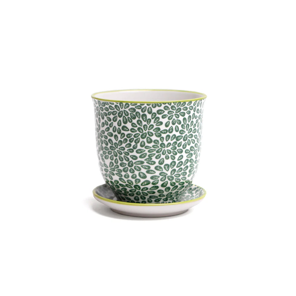 Liberte Pot & Saucer