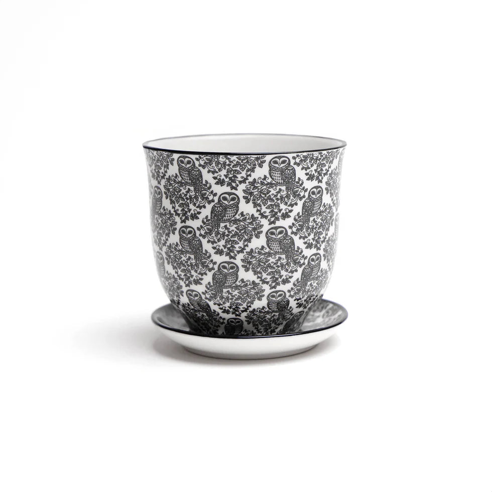 Liberte Pot & Saucer