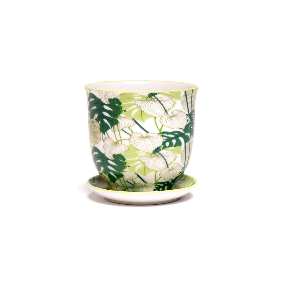 Liberte Pot & Saucer