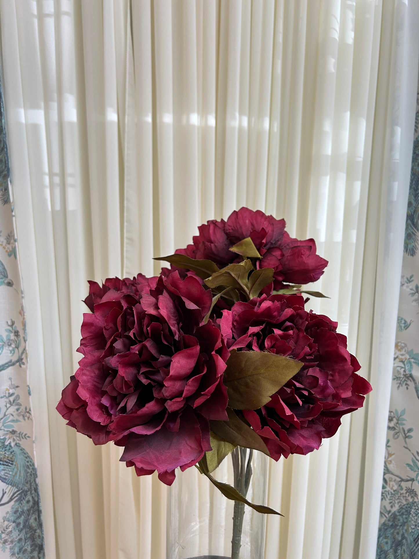 Burgundy Peony Blossom