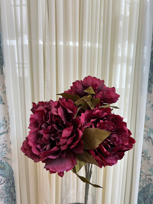 Burgundy Peony Blossom
